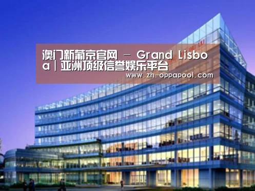 新葡京案例展示三