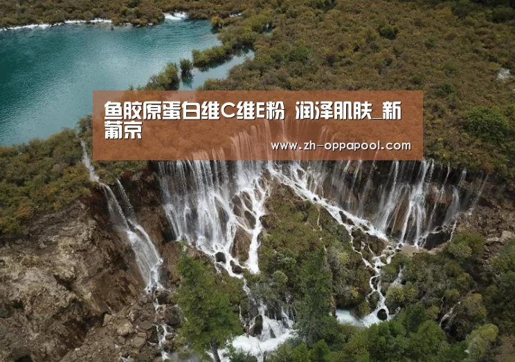 鱼胶原蛋白维C维E粉 润泽肌肤_新葡京(图2) 新葡京