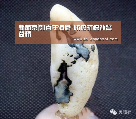 新葡京|郭百年海参 防癌抗癌补肾益精(图1) 新葡京