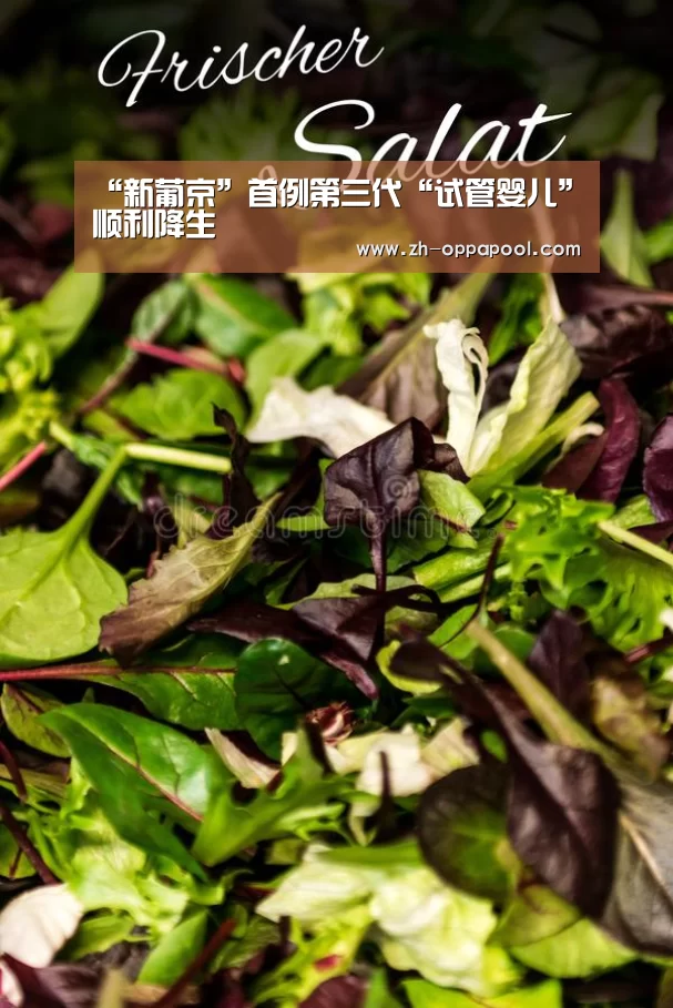 “新葡京”首例第三代“试管婴儿”顺利降生(图1) 新葡京
