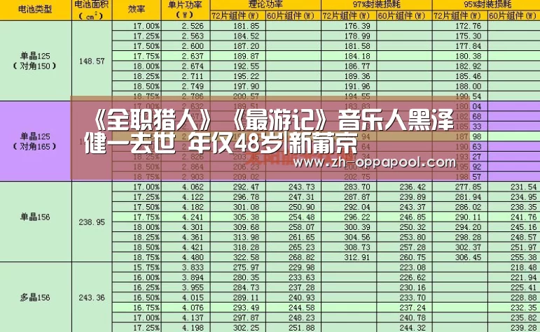 《全职猎人》《最游记》音乐人黑泽健一去世 年仅48岁|新葡京(图2) 新葡京