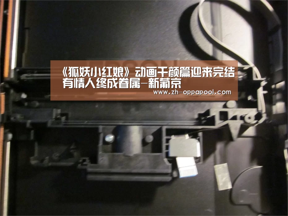 《狐妖小红娘》动画千颜篇迎来完结 有情人终成眷属-新葡京(图1) 新葡京