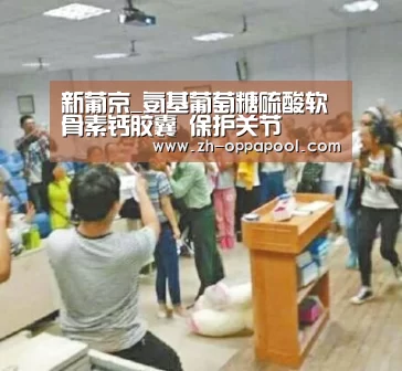 新葡京_氨基葡萄糖硫酸软骨素钙胶囊 保护关节(图3) 新葡京