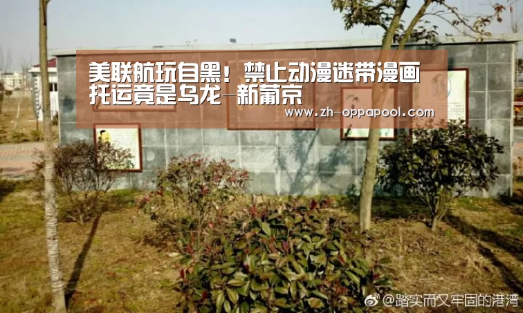 美联航玩自黑!禁止动漫迷带漫画托运竟是乌龙-新葡京(图2) 新葡京