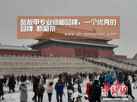 馨靓甲专业修脚品牌,一个优秀的品牌_新葡京(图1) 新葡京