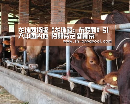 龙珠剧场版《龙珠超:布罗利》引入中国内地 档期待定|新葡京(图1) 新葡京
