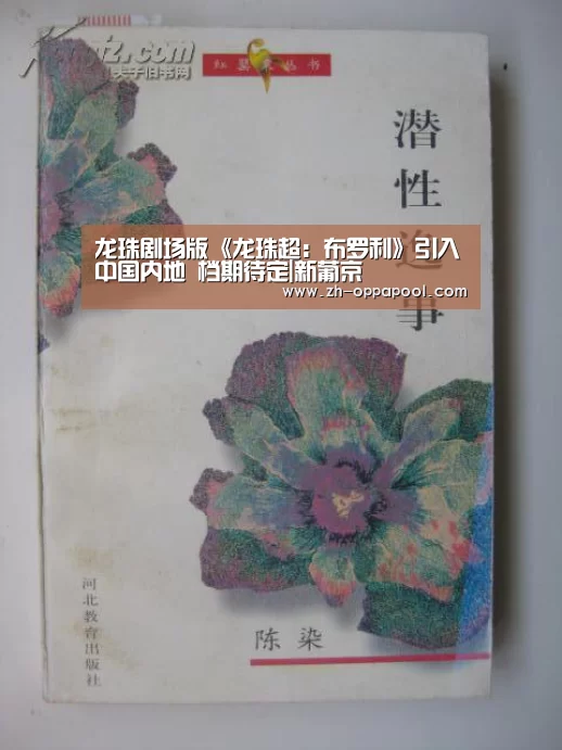 龙珠剧场版《龙珠超:布罗利》引入中国内地 档期待定|新葡京(图2) 新葡京